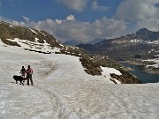 Laghi Gemelli dalle Baite di Mezzeno, fiori, stambecchi e ancora neve (4giu21) - FOTOGALLERY